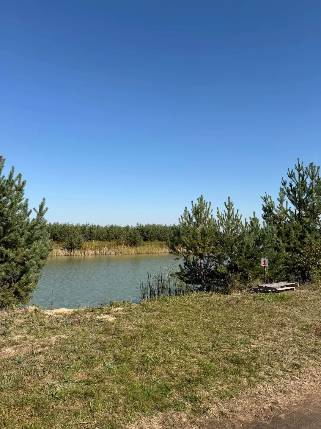 Stanowisko 1 na Stawie Feeder — zdjęcie 3