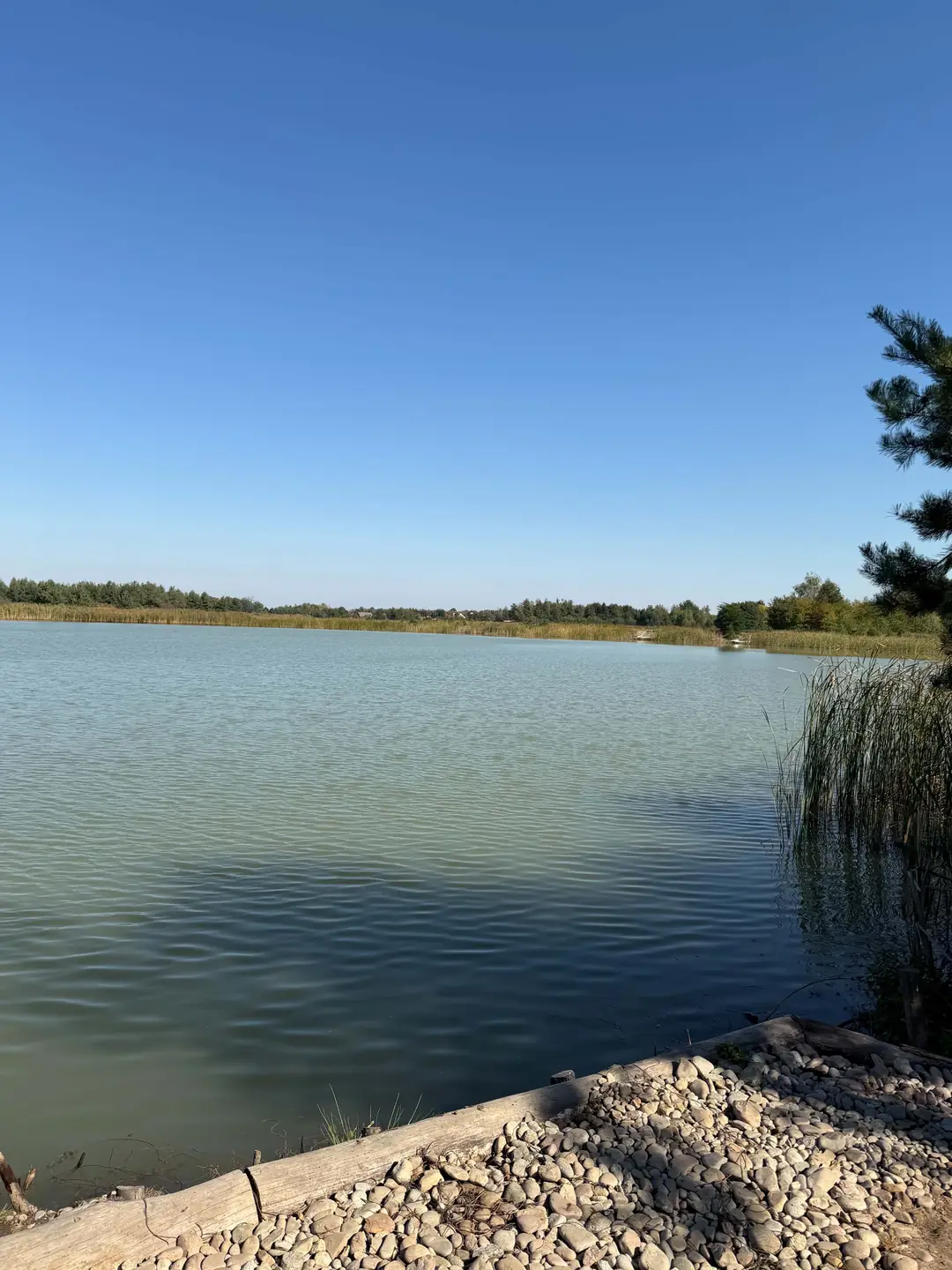 Stanowisko 3 na Stawie Feeder — zdjęcie 4
