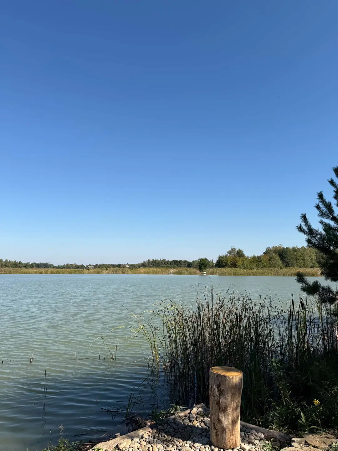 Stanowisko 4 na Stawie Feeder — zdjęcie 3