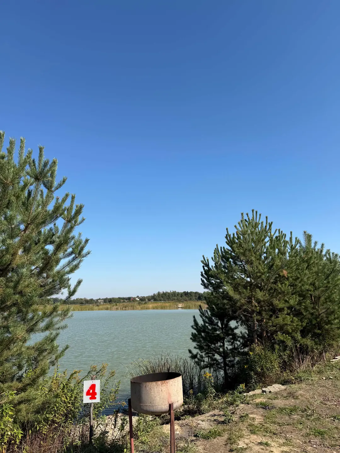 Stanowisko 4 na Stawie Feeder — zdjęcie 6