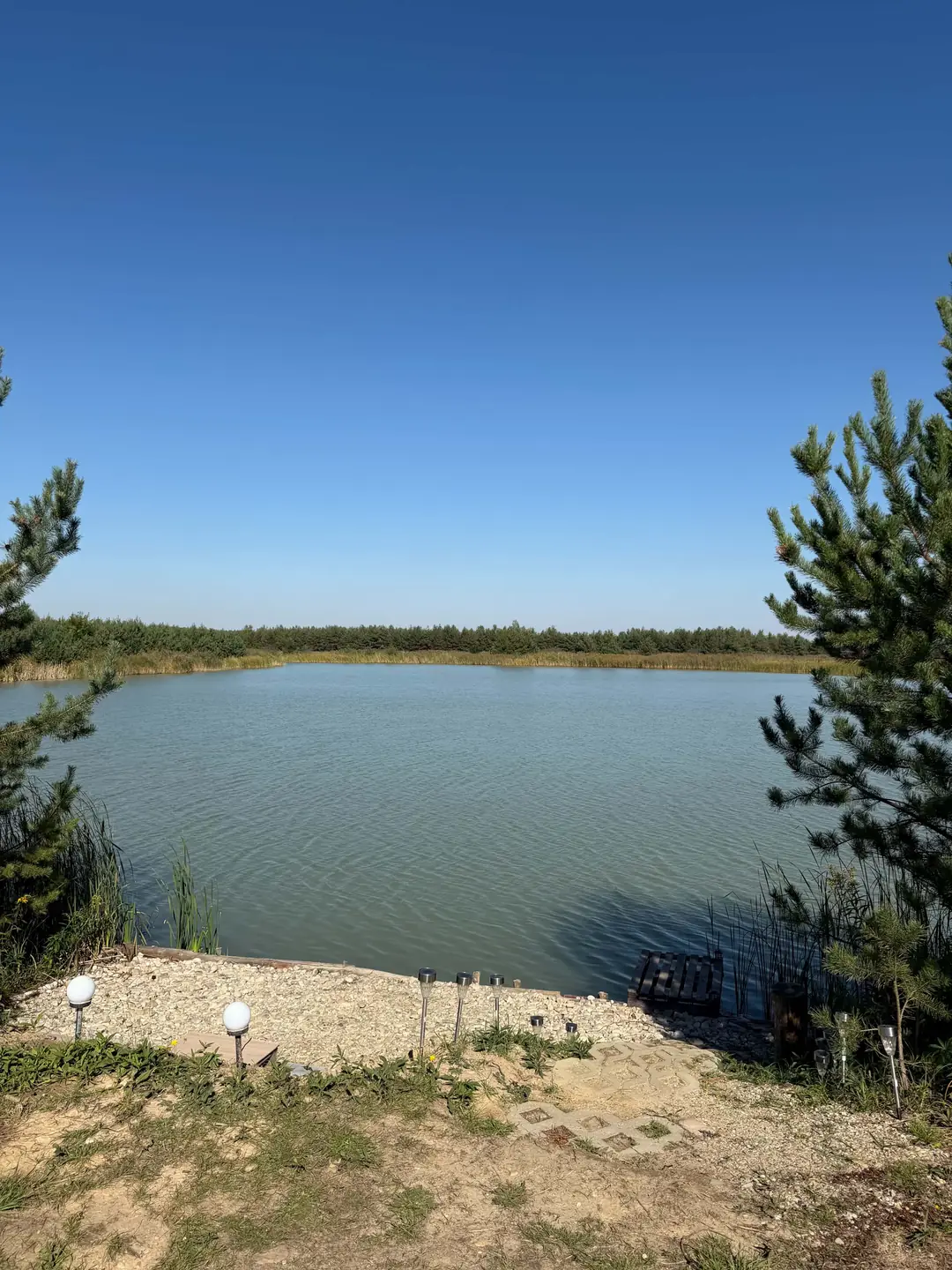 Stanowisko 5 na Stawie Feeder