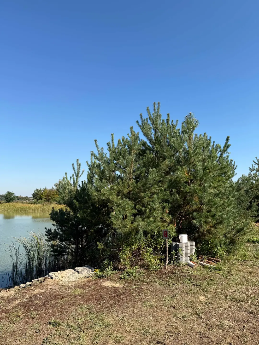 Stanowisko 8 na Stawie Feeder — zdjęcie 4